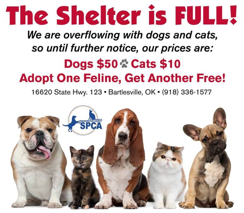WCSPCA The Shelter is Full 2015